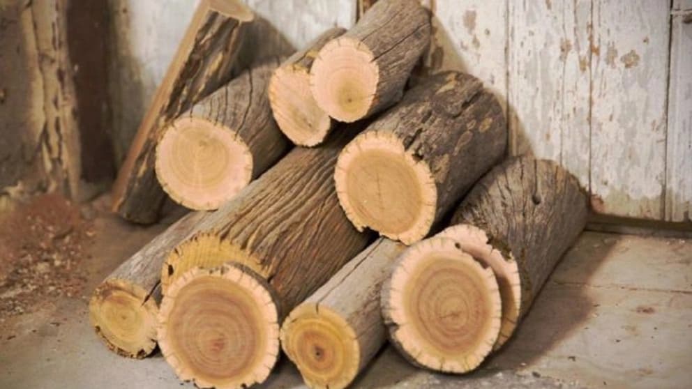 چرا چوب یک محصول مهم است؟